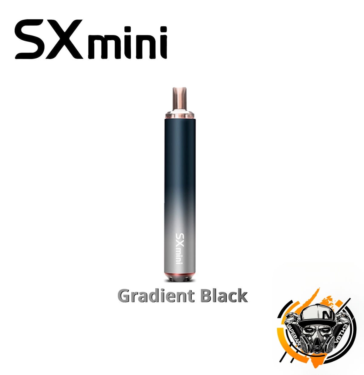SX Mini MK Pro Air Kit