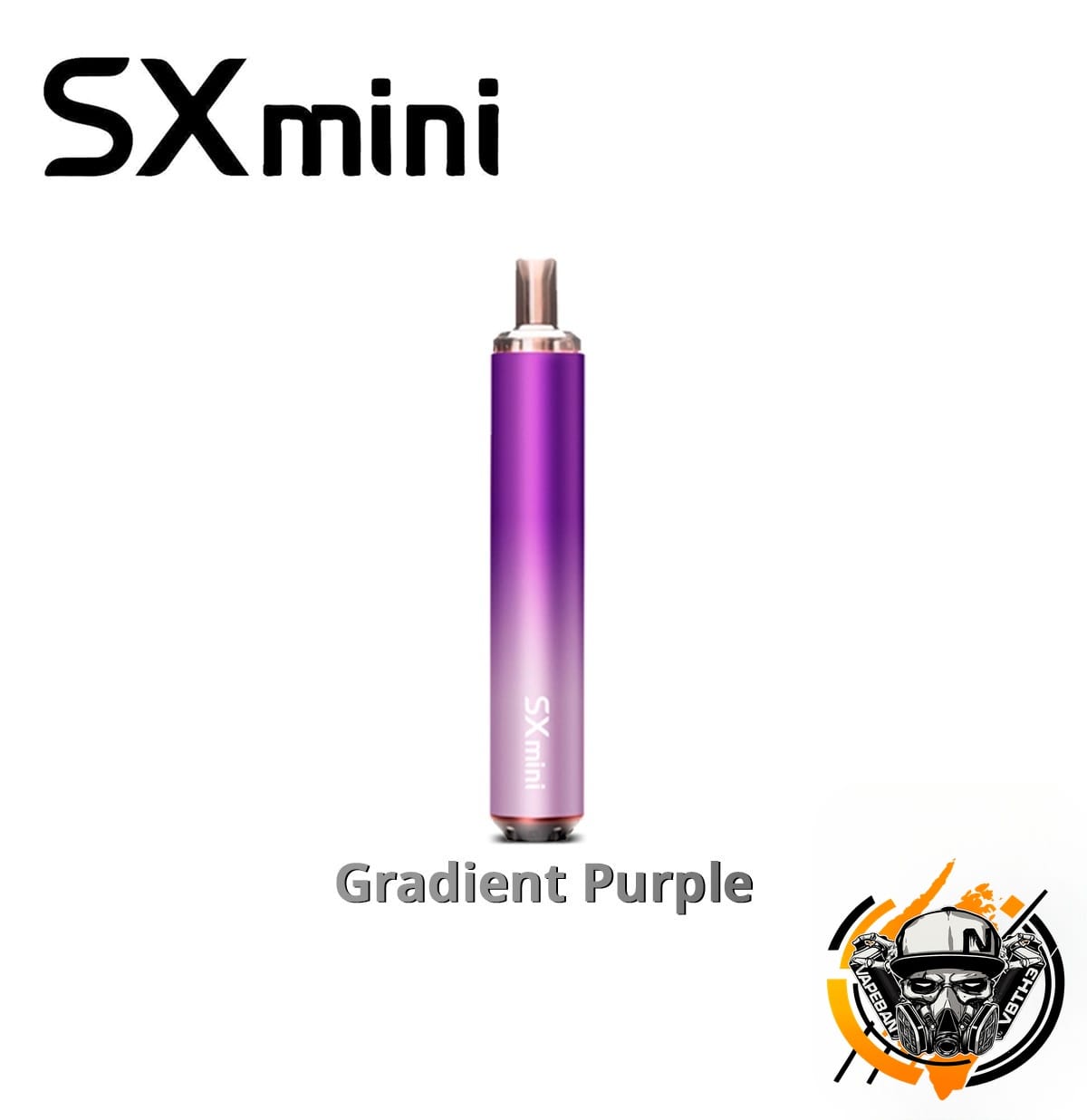 SX Mini MK Pro Air Kit